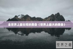 全世界上最壮观的美食（世界上最大的美食）