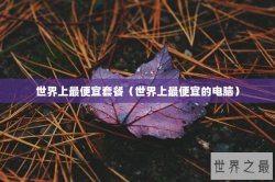 世界上最便宜套餐（世界上最便宜的电脑）