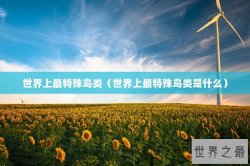 世界上最特殊鸟类（世界上最特殊鸟类是什么）