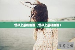 世界上最细的面（世界上最粗的面）