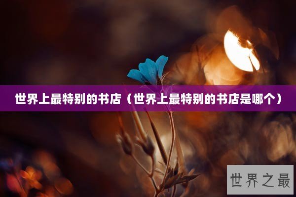 世界上最特别的书店（世界上最特别的书店是哪个）