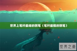 世界上笔杆最细的钢笔（笔杆最粗的钢笔）