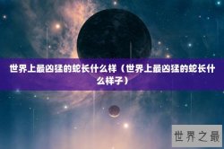 世界上最凶猛的蛇长什么样（世界上最凶猛的蛇长什么样子）