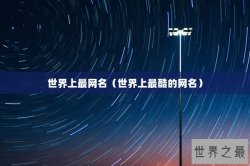 世界上最网名（世界上最酷的网名）