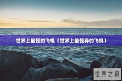 世界上最怪的飞机（世界上最怪异的飞机）