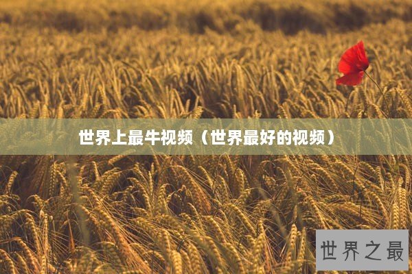 世界上最牛视频（世界最好的视频）