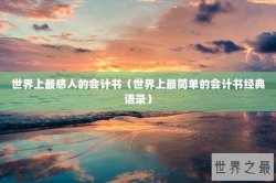 世界上最感人的会计书（世界上最简单的会计书经典语录）
