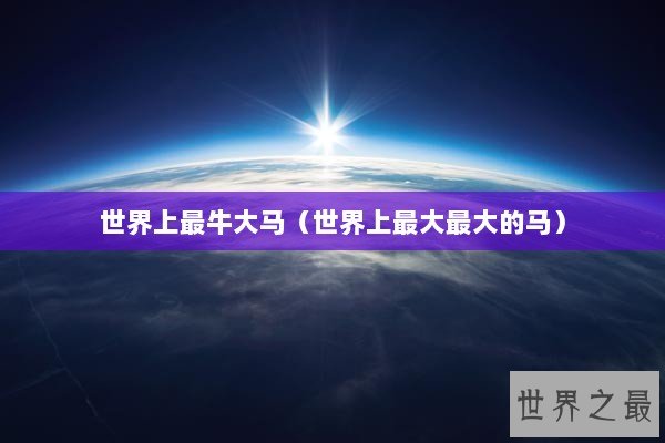 世界上最牛大马（世界上最大最大的马）