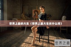 世界上最的大车（世界上最大车长什么样）