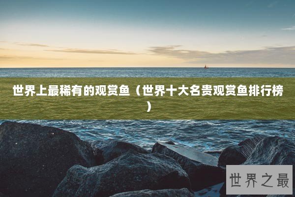 世界上最稀有的观赏鱼（世界十大名贵观赏鱼排行榜）