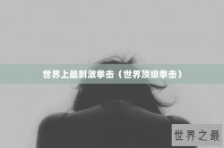 世界上最刺激拳击（世界顶级拳击）