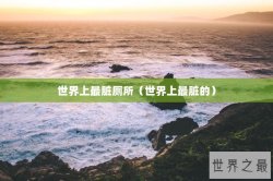 世界上最脏厕所（世界上最脏的）