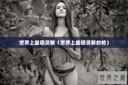 世界上最稳灵敏（世界上最稳灵敏的枪）