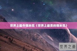 世界上最牛爆米花（世界上最贵的爆米花）
