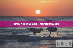 世界上最恐怖前锋（世界级的前锋）