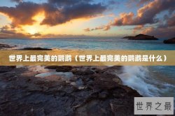 世界上最完美的鹦鹉（世界上最完美的鹦鹉是什么）