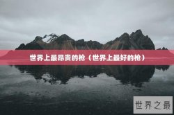 世界上最昂贵的枪（世界上最好的枪）