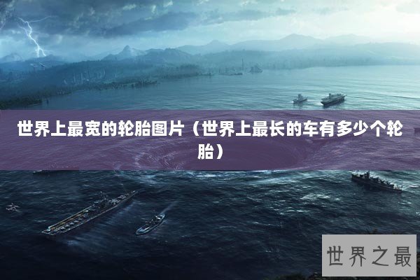 世界上最宽的轮胎图片（世界上最长的车有多少个轮胎）