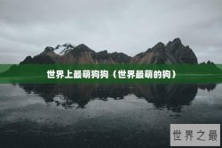世界上最萌狗狗（世界最萌的狗）