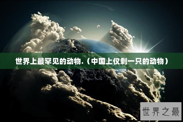 世界上最罕见的动物.（中国上仅剩一只的动物）