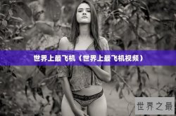 世界上最飞机（世界上最飞机视频）