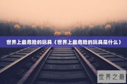 世界上最危险的玩具（世界上最危险的玩具是什么）