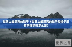 世界上最漂亮的鞋子（世界上最漂亮的鞋子和裙子还有手链项链怎么画）