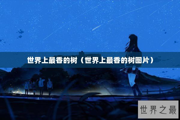 世界上最香的树（世界上最香的树图片）
