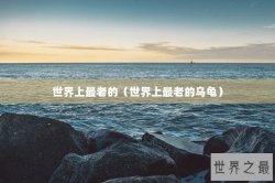 世界上最老的（世界上最老的乌龟）