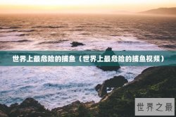 世界上最危险的捕鱼（世界上最危险的捕鱼视频）