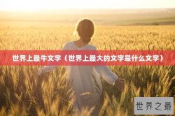 世界上最牛文字（世界上最大的文字是什么文字）