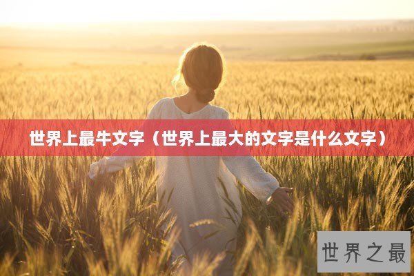 世界上最牛文字（世界上最大的文字是什么文字）