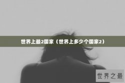 世界上最2国家（世界上多少个国家2）