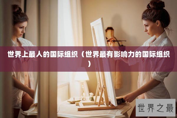 世界上最人的国际组织（世界最有影响力的国际组织）