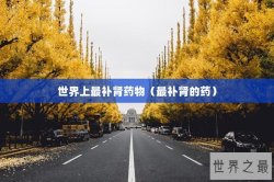 世界上最补肾药物（最补肾的药）