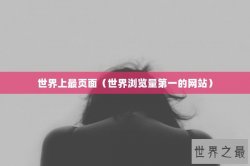 世界上最页面（世界浏览量第一的网站）