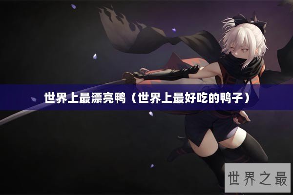世界上最漂亮鸭（世界上最好吃的鸭子）