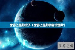 世界上最帅虎子（世界上最帅的老虎图片）