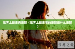 世界上最古典乐器（世界上最古老的乐器是什么乐器）
