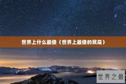 世界上什么最傻（世界上最傻的就是）