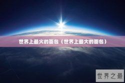世界上最火的面包（世界上最大的面包）