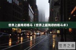 世界上最残忍格斗（世界上最残忍的格斗术）