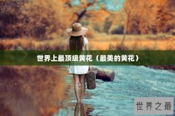 世界上最顶级黄花（最美的黄花）