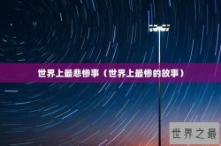 世界上最悲惨事（世界上最惨的故事）