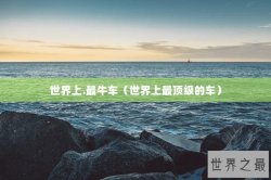 世界上.最牛车（世界上最顶级的车）