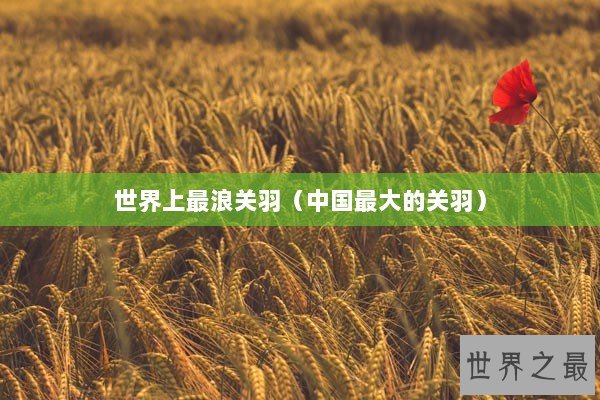 世界上最浪关羽（中国最大的关羽）