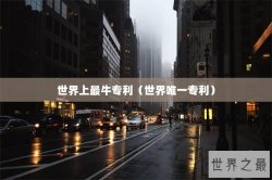 世界上最牛专利（世界唯一专利）