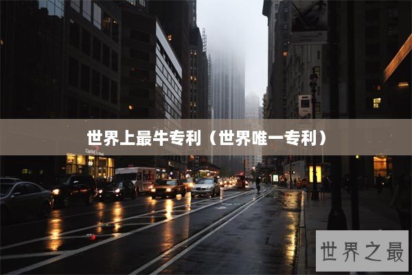 世界上最牛专利（世界唯一专利）