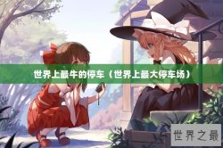 世界上最牛的停车（世界上最大停车场）