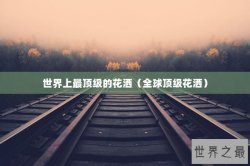 世界上最顶级的花洒（全球顶级花洒）